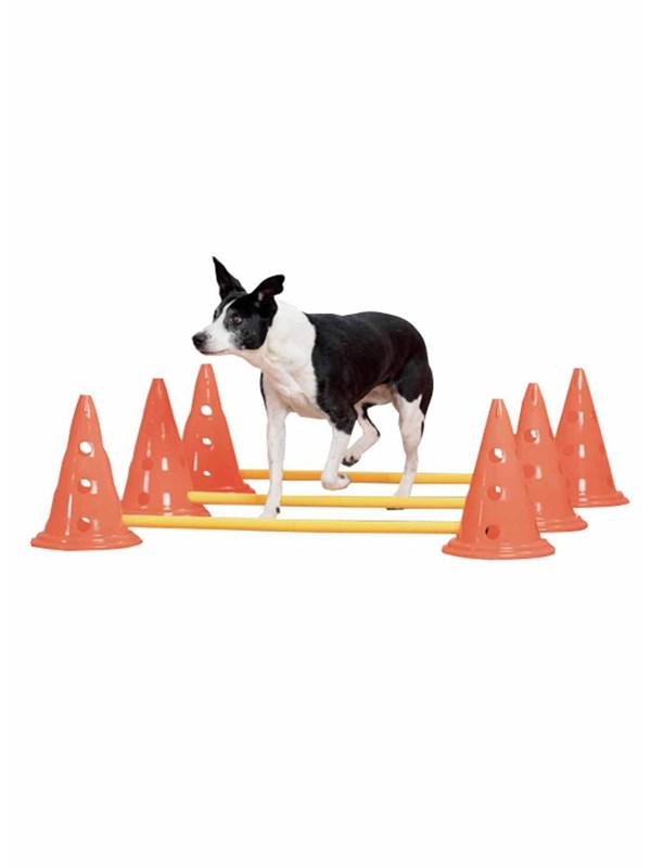 Pawise - Agility Training Set 30 cm
