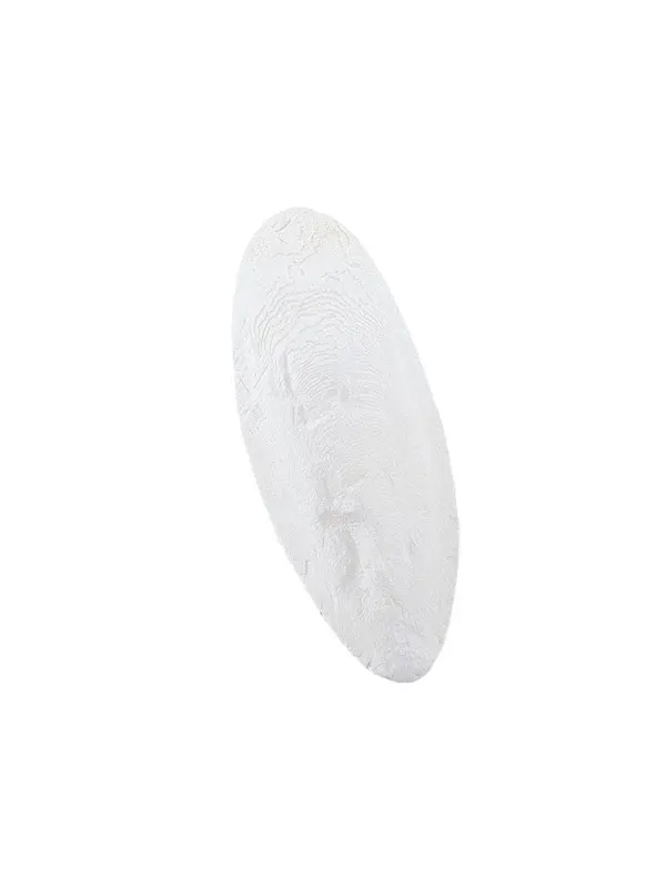 Nobby Sepiaskaller 1 15-20 cm 1 kg