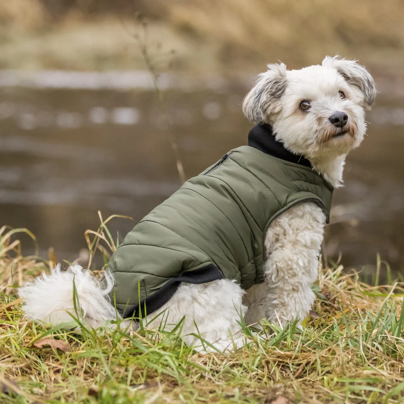Trixie Arlay hundedekken - S 33cm - Mørk grønn