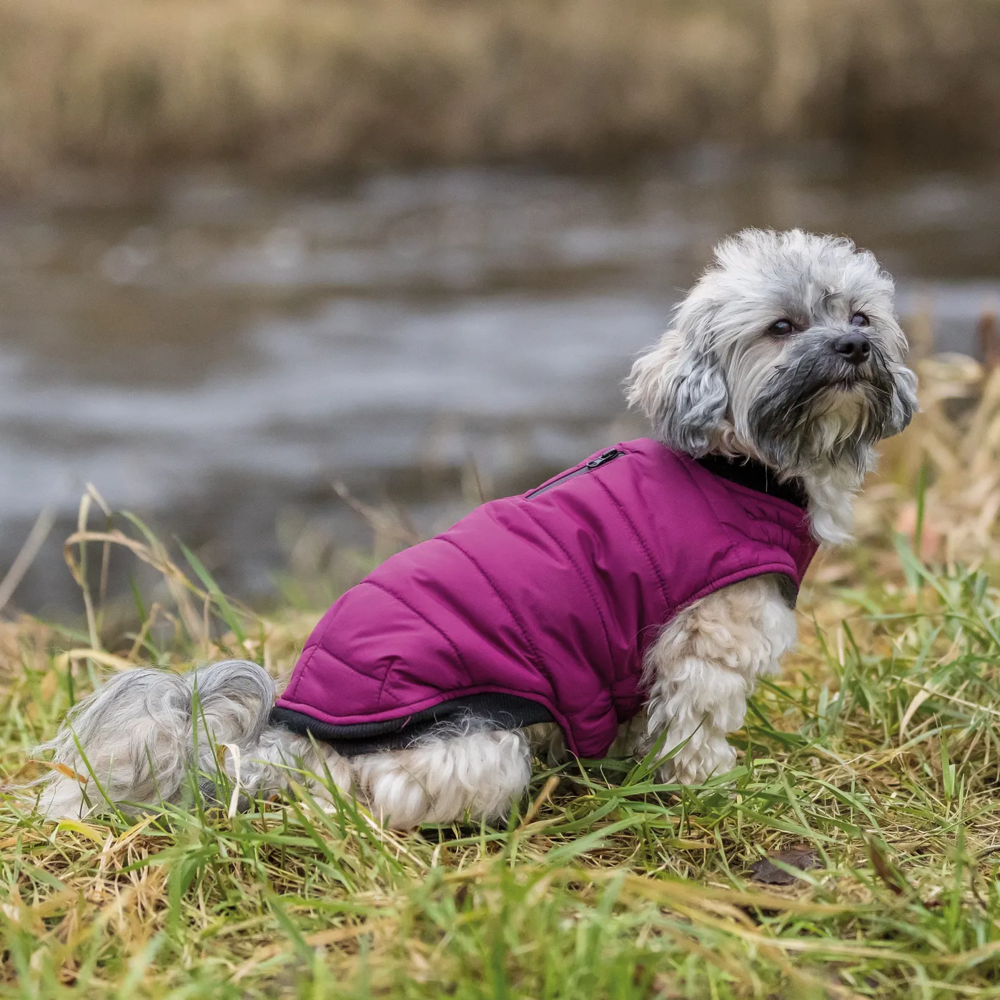 Trixie Arlay hundedekken - 2xs 21cm - Berry