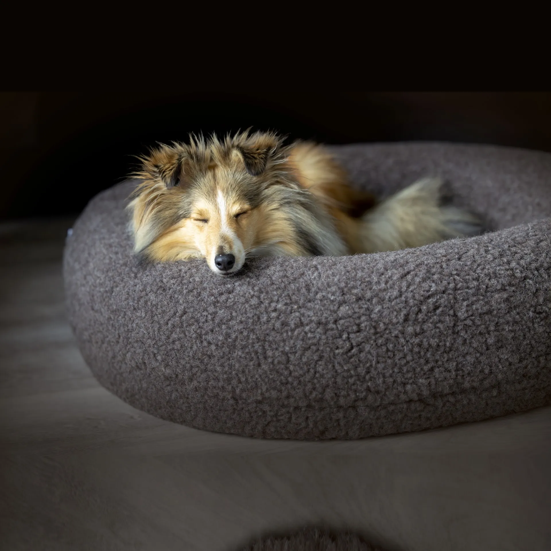 Canelana rund hundeseng i 100% ull - Large - Grå