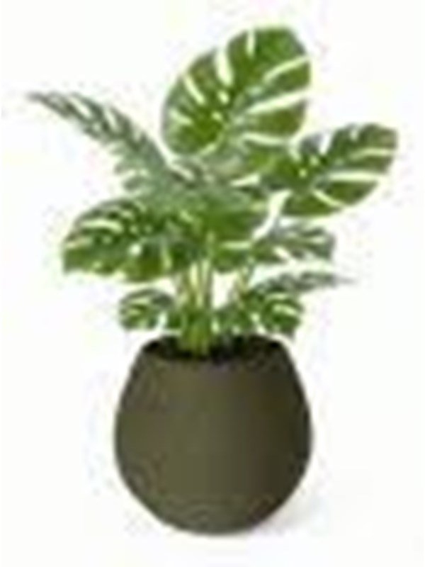 Simiu KAPKA - Flower Pot Shelter With Self-Watering System - Olive - Ø:11.5