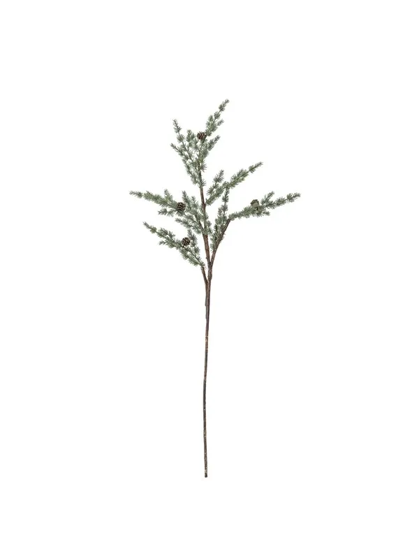 Bloomingville Pine