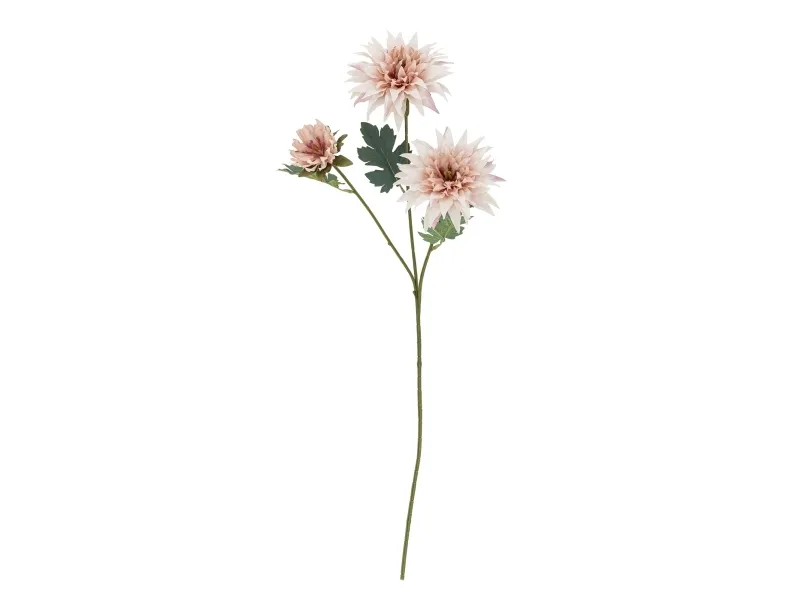 Bloomingville Chrysantemum