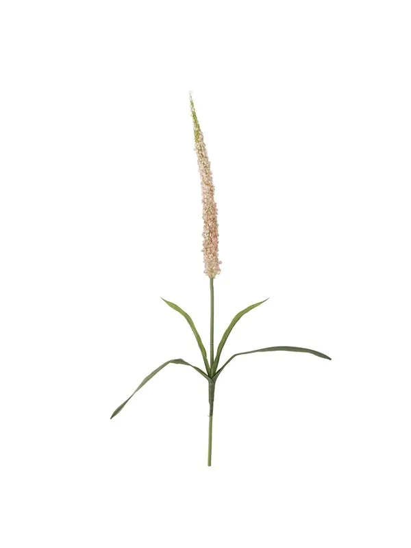 Bloomingville Foxtail