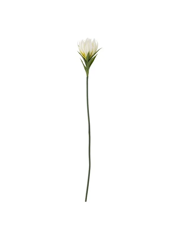 Bloomingville Lily