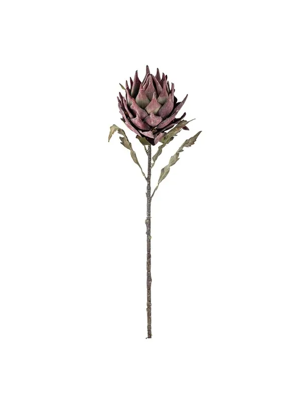 Bloomingville Protea