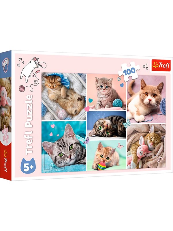 Trefl Puzzle - In the cat world (100 pieces) Gulv