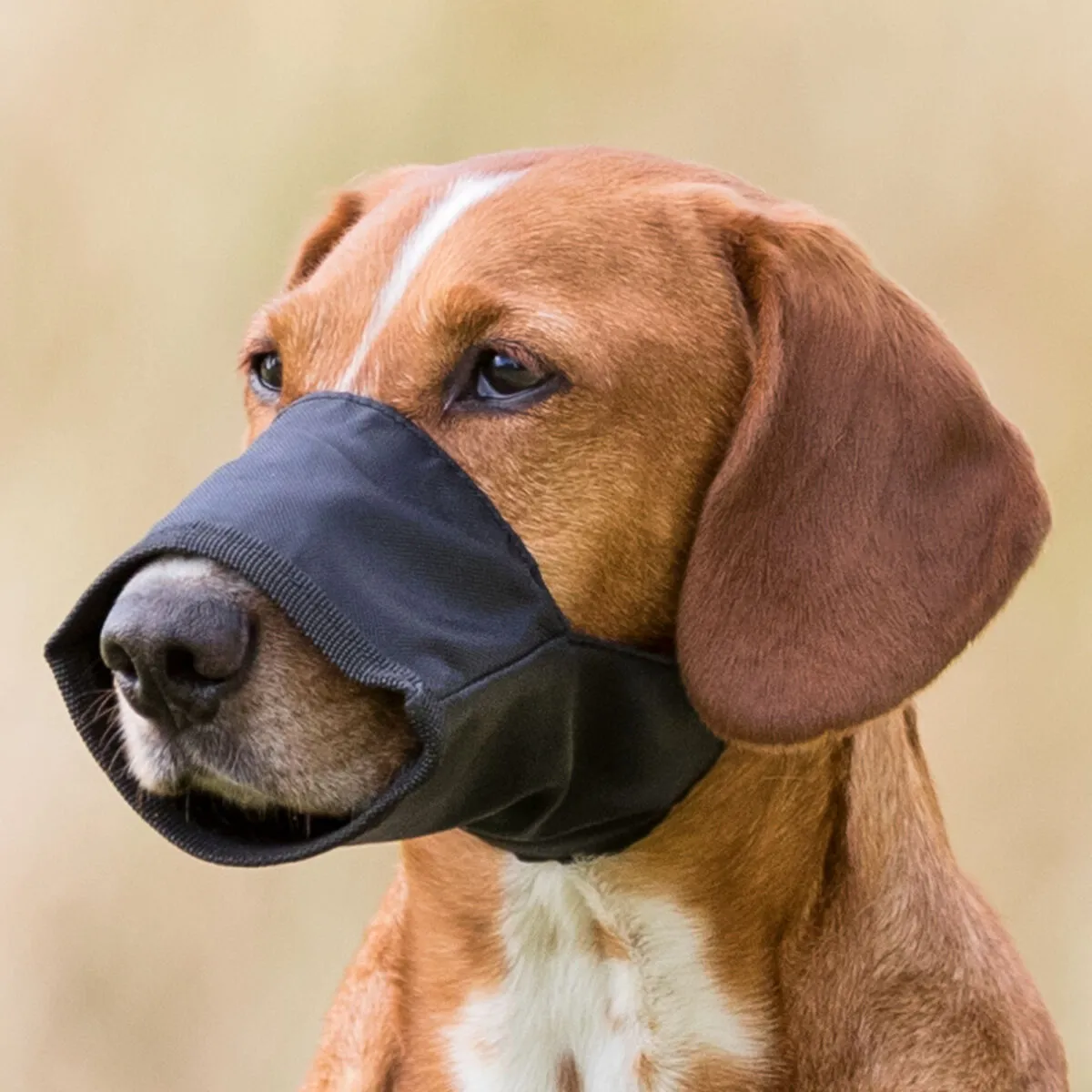 Trixie Muzzle polyester M-L black