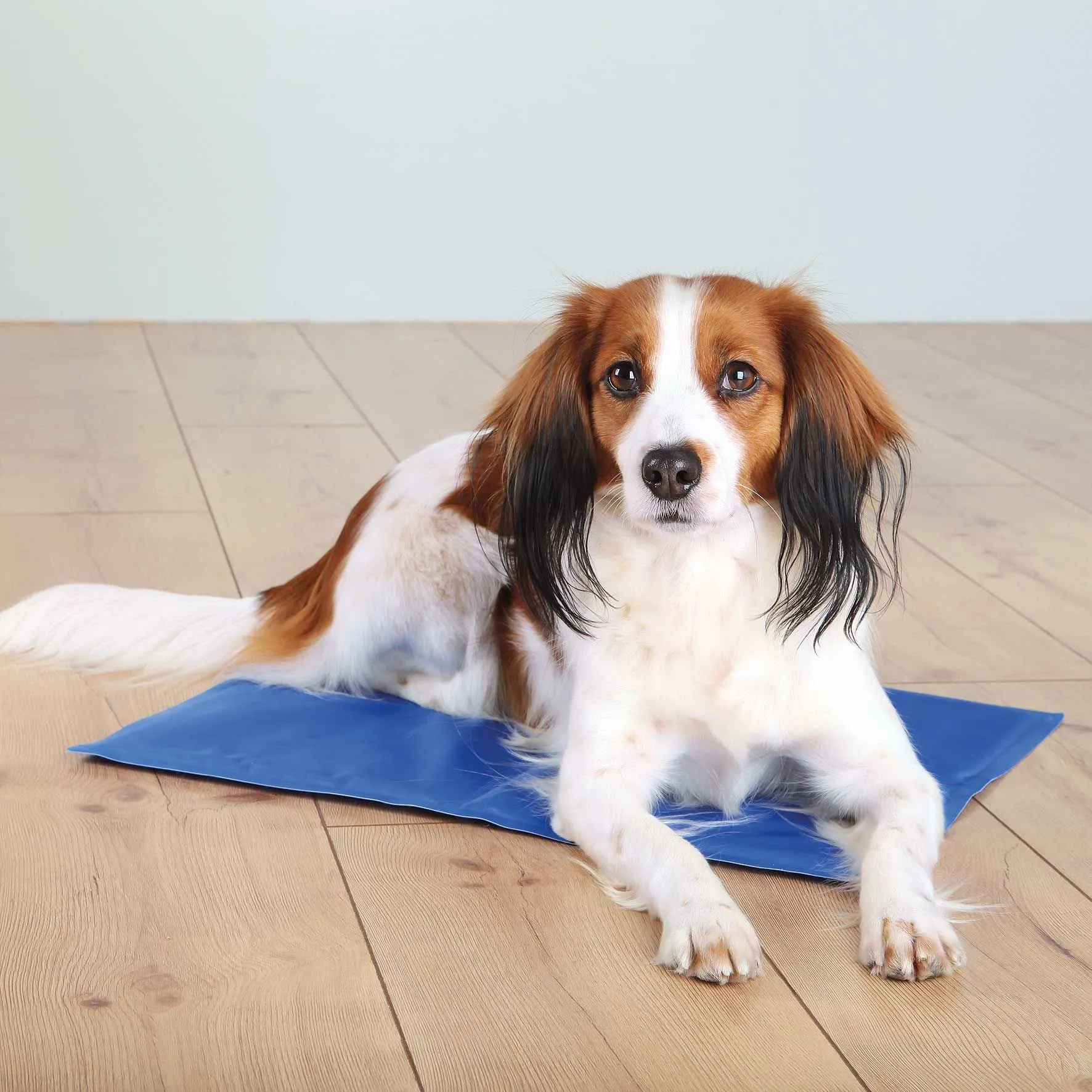 Trixie Cooling Mat Blue M 50x40cm