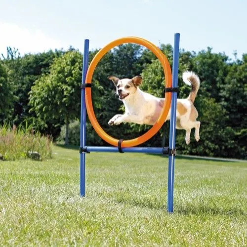 Trixie Fun Agility Ring - Justerbar treningsring for hunder