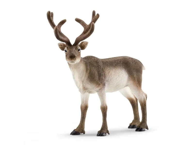 Schleich Wild Life 14837 Reinsdyr