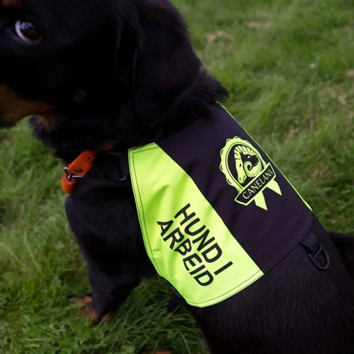 Canelana Markeringsdekken med tekst Hund i Arbeid - Medium