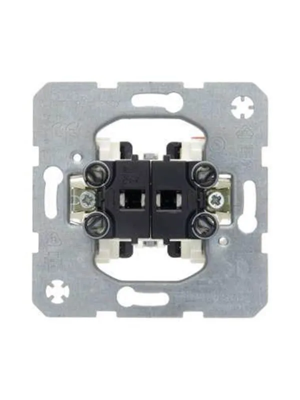 Berker Rocker switch 2gang light control