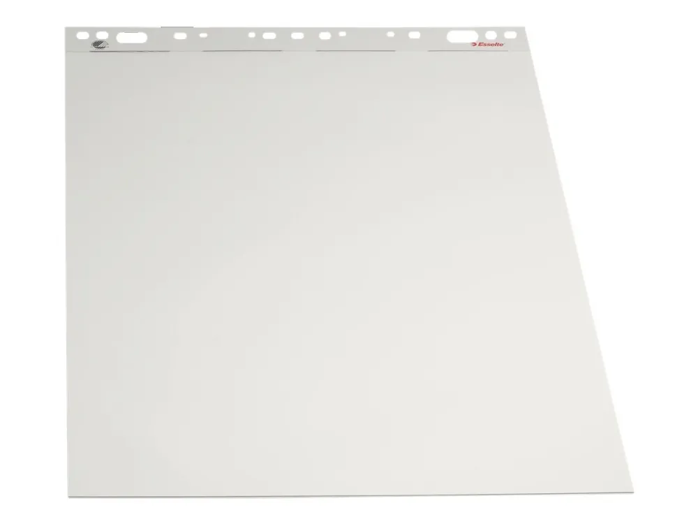 Esselte Standard - Flippoverblokk - 600 x 850 mm - 50 ark - hvit - vanlig - flerhullet