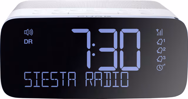 Pure Siesta Rise radio
