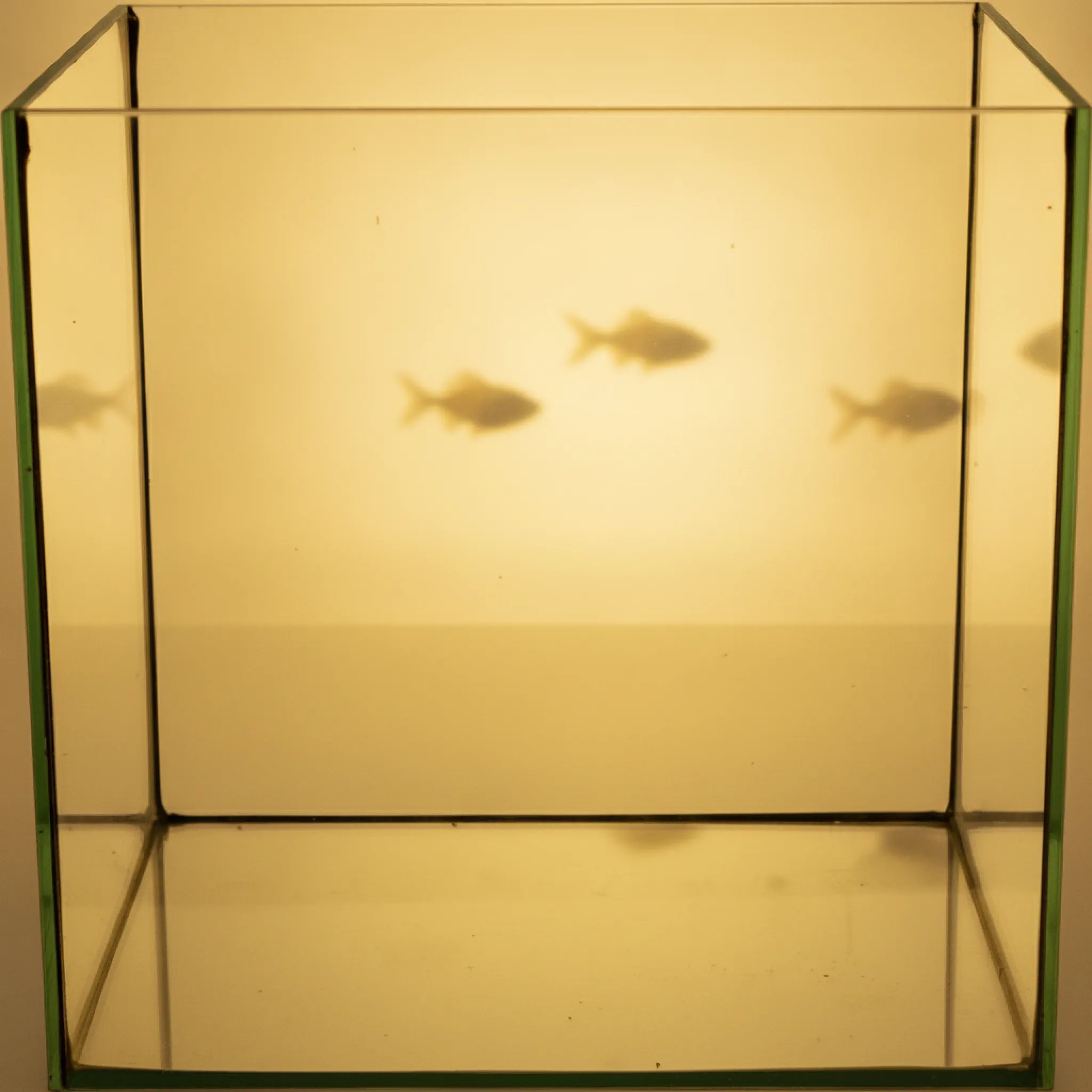 Helglassakvarium kube - 64 liter