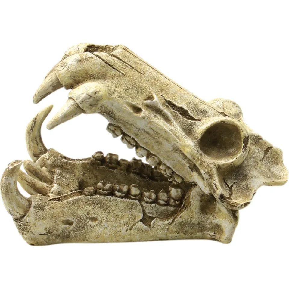 4FISH Akvariedekor Kranium 20x11x13 cm