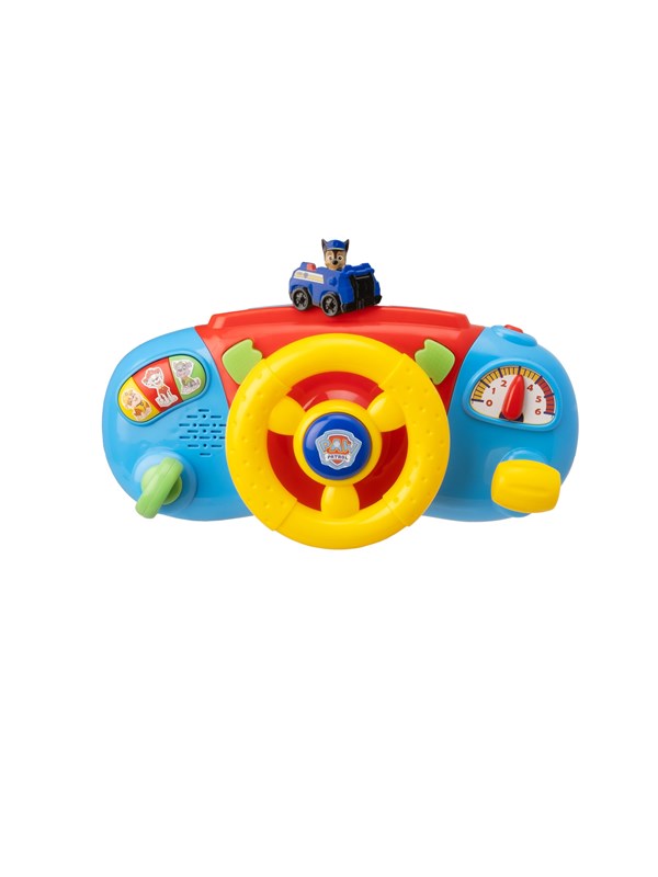 Paw Patrol Activity Dashboard