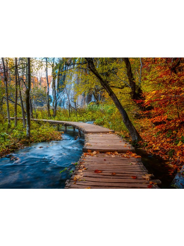 Ravensburger Autumnal wood trail (1000)