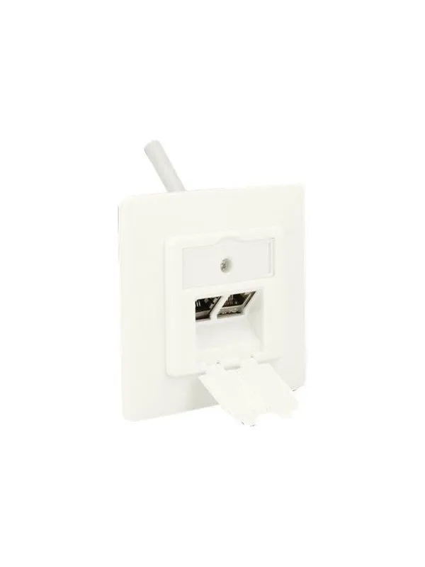 DeLOCK Keystone Wall Outlet - 2 Port Compact