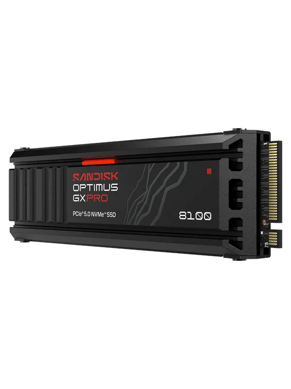 SANDISK Optimus GX PRO 8100 SSD - 4TB - M.2 2280 - PCIe 5.0 - Med varmespreder