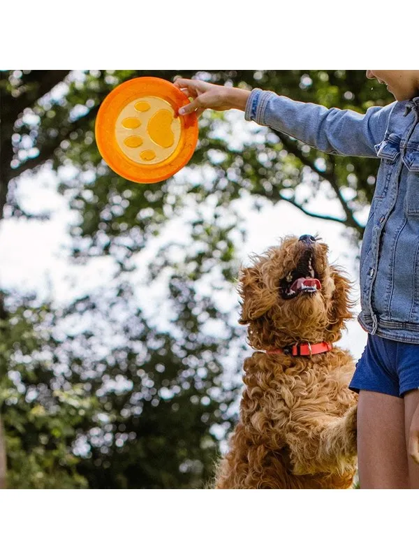 Nobby TPR frisbee - Paw