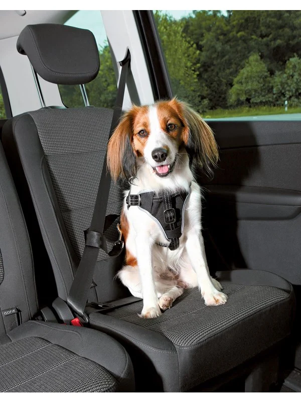 Trixie Comfort car harness M: 50-65 cm/20 mm black