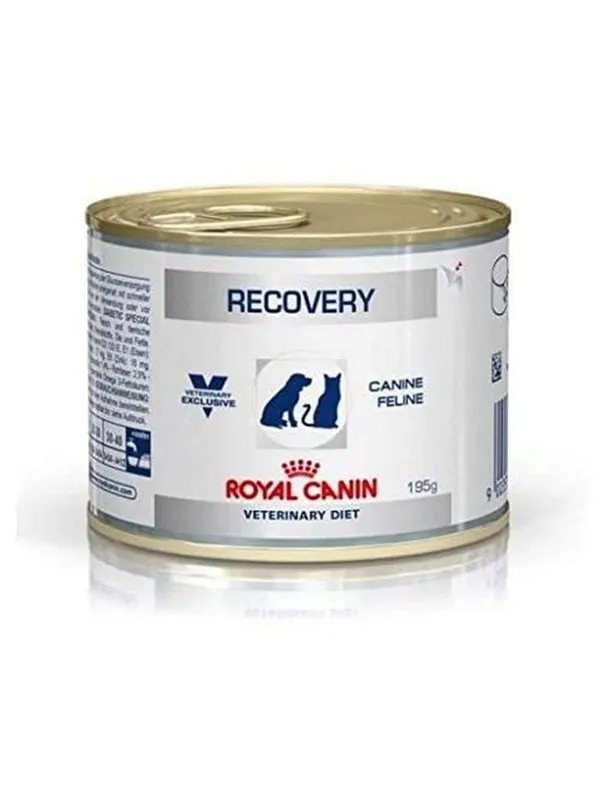 Royal VET CANINE RECOVERY Box of 12 x 195 g