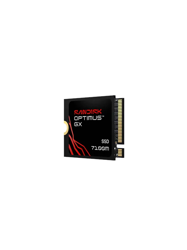 SANDISK Optimus GX 7100M SSD - 1TB - PCIe 4.0 - M.2 2230
