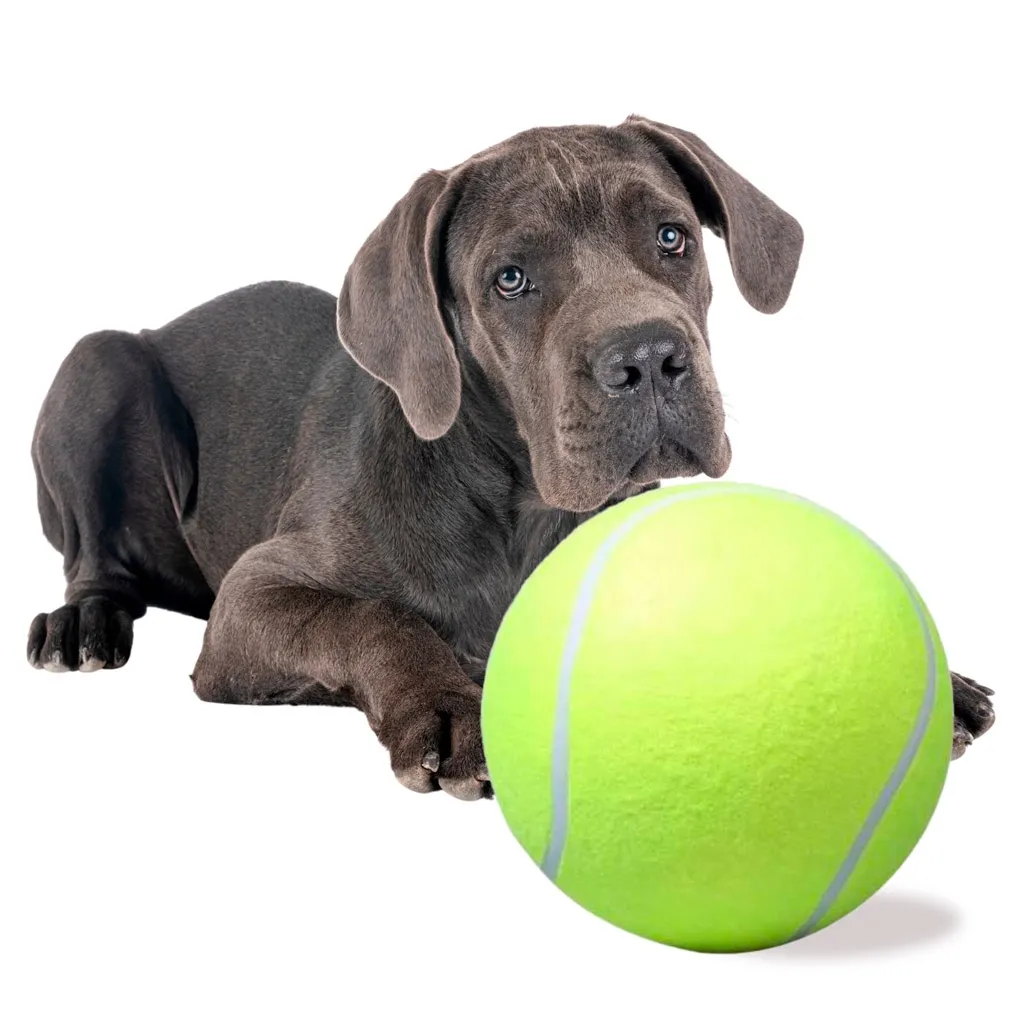 Stor Tennisball / Hundeleke - Leke for Hund - 24 cm