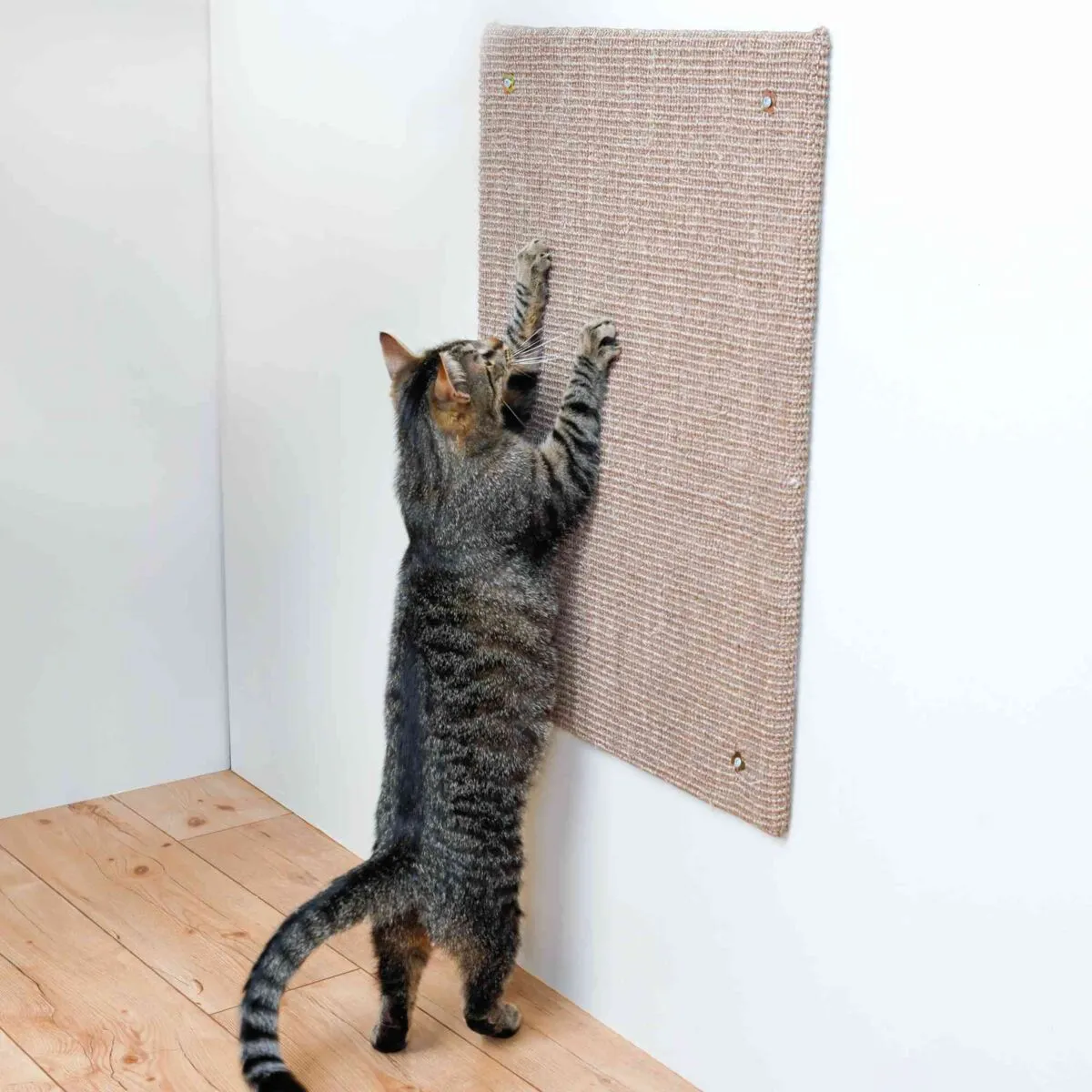 Trixie Scratching board XXL sisal rug catnip 50 × 70 cm taupe