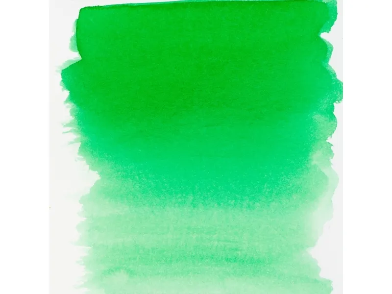 Ecoline flytende akvarellfargeflaske Forest Green 656