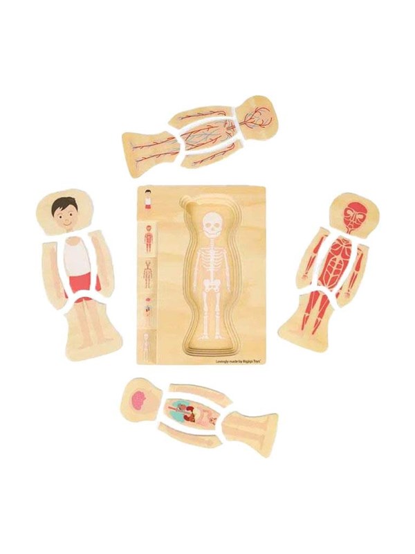 Bigjigs Wooden Anatomy Puzzle - Boy 26pcs.