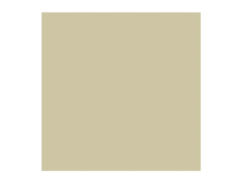 Rembrandt Oil Colour Tube Silver 800