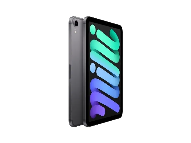 Apple iPad mini Wi-Fi + Cellular - 6. generasjon - tablet - 256 GB - 8.3 IPS (2266 x 1488) - 3G, 4G, 5G - romgrå
