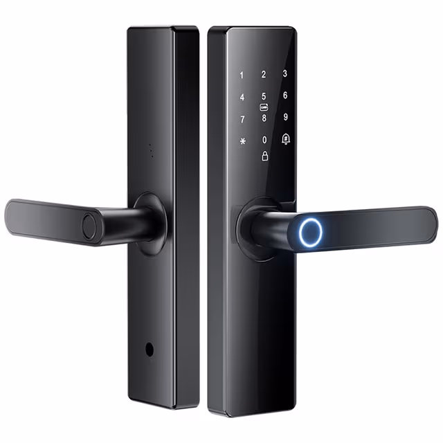 Lås Tuya Smart Elektronisk Dørlås Fingeravtrykk Passord - 16 cm Låsehus