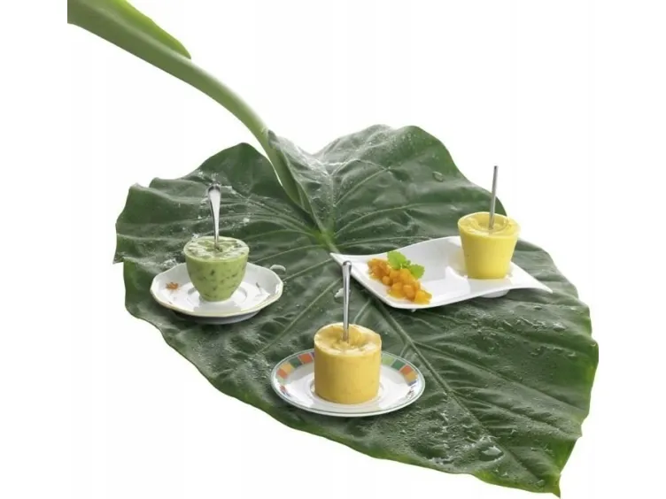 Villeroy & Boch NewWave Caffe fat 20 x 14 cm