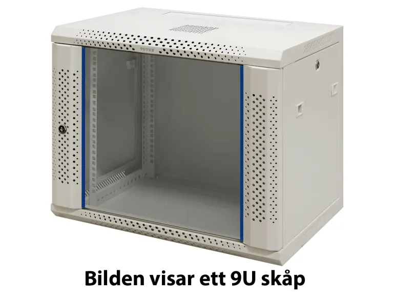 TOTEN 19" Wall Cabinet 12U