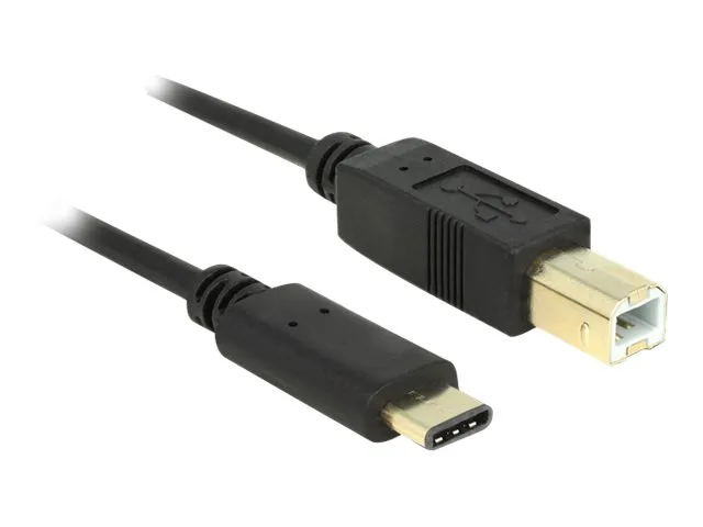 Delock - USB-kabel - USB-C (hann) til USB-type B (hann) - USB 2.0 - 3 A - 2 m - svart