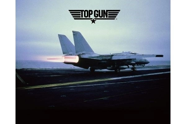 1:48 F-14 A Tomcat 'Top Gun'