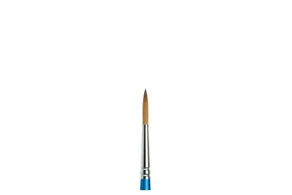 Cotman serie 222 NO 6