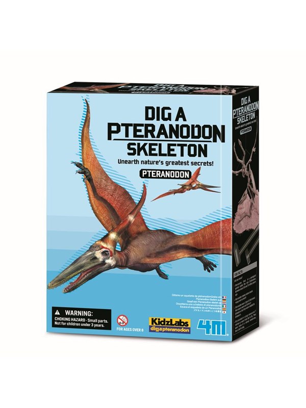 4M KidzLabs / Dig a Pteranodon skeleon