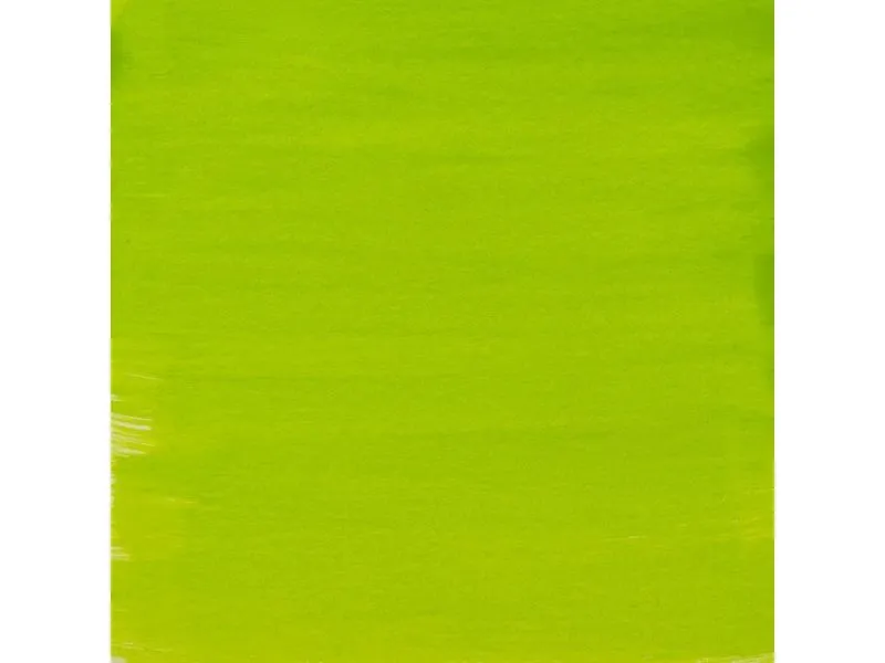 Amsterdam Acrylic Ink Bottle Yellowish Green 617