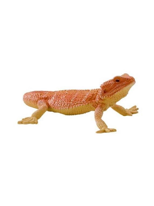 Mojo Wildlife Bearded Dragon