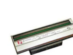 Datamax - 203 dpi - printhoved - for M-klasse M-4206, M-4208