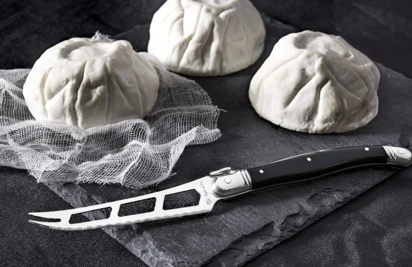 LAGUIOLE Cheese knife Laguiole Black SdV