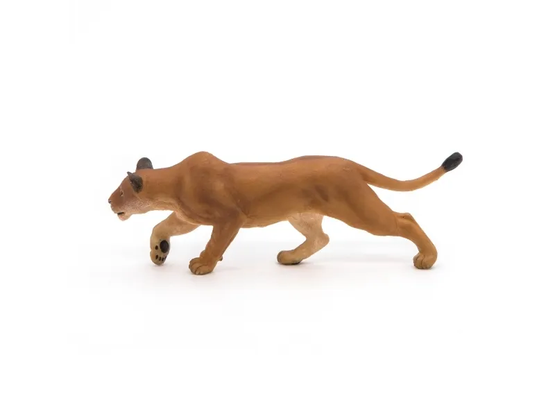 Papo 50251, 3 år, Wild animal kingdom, Brun, PVC