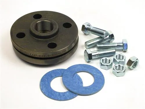 Grundfos 2 flange TN 10