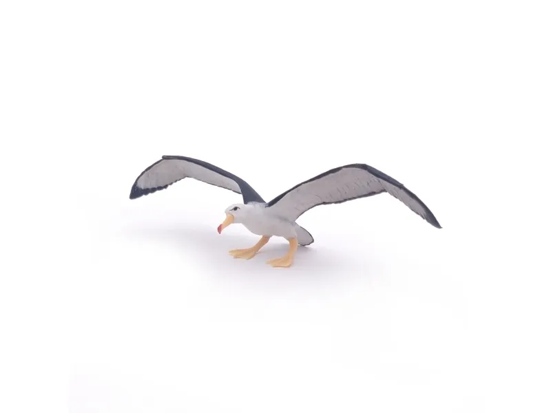 Papo 56038, 3 år, Marine life, Sort, Hvit, PVC
